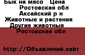 Бык на мясо › Цена ­ 45 000 - Ростовская обл., Аксайский р-н Животные и растения » Другие животные   . Ростовская обл.